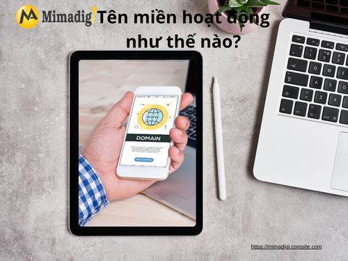 What is a Domain Name? The Importance of Domain Names in Online Business AT MIMADIGI