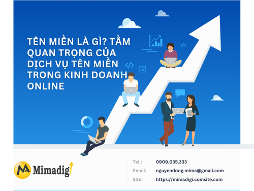 What is a Domain Name? The Importance of Domain Names in Online Business AT MIMADIGI