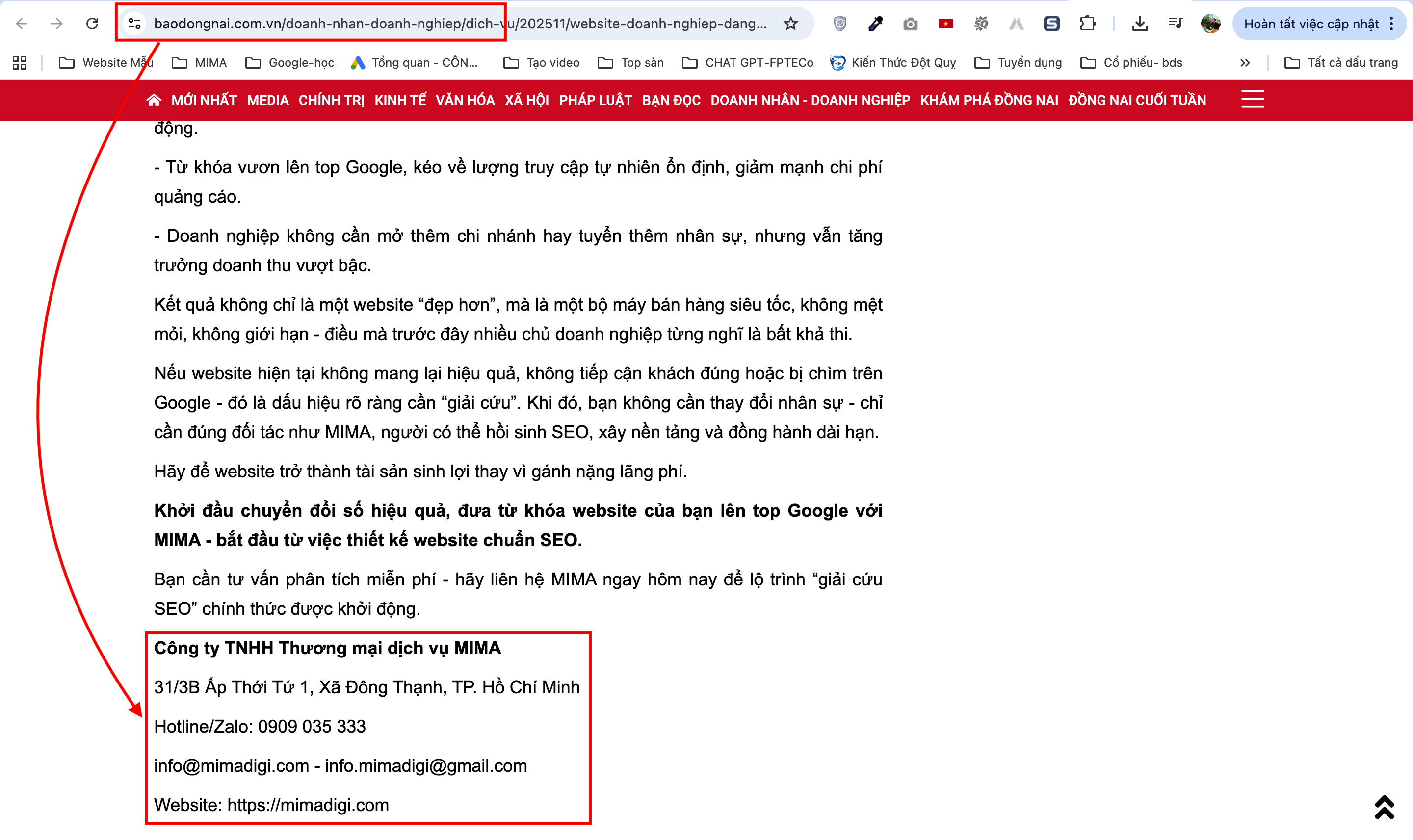 Website Design Dong Nai