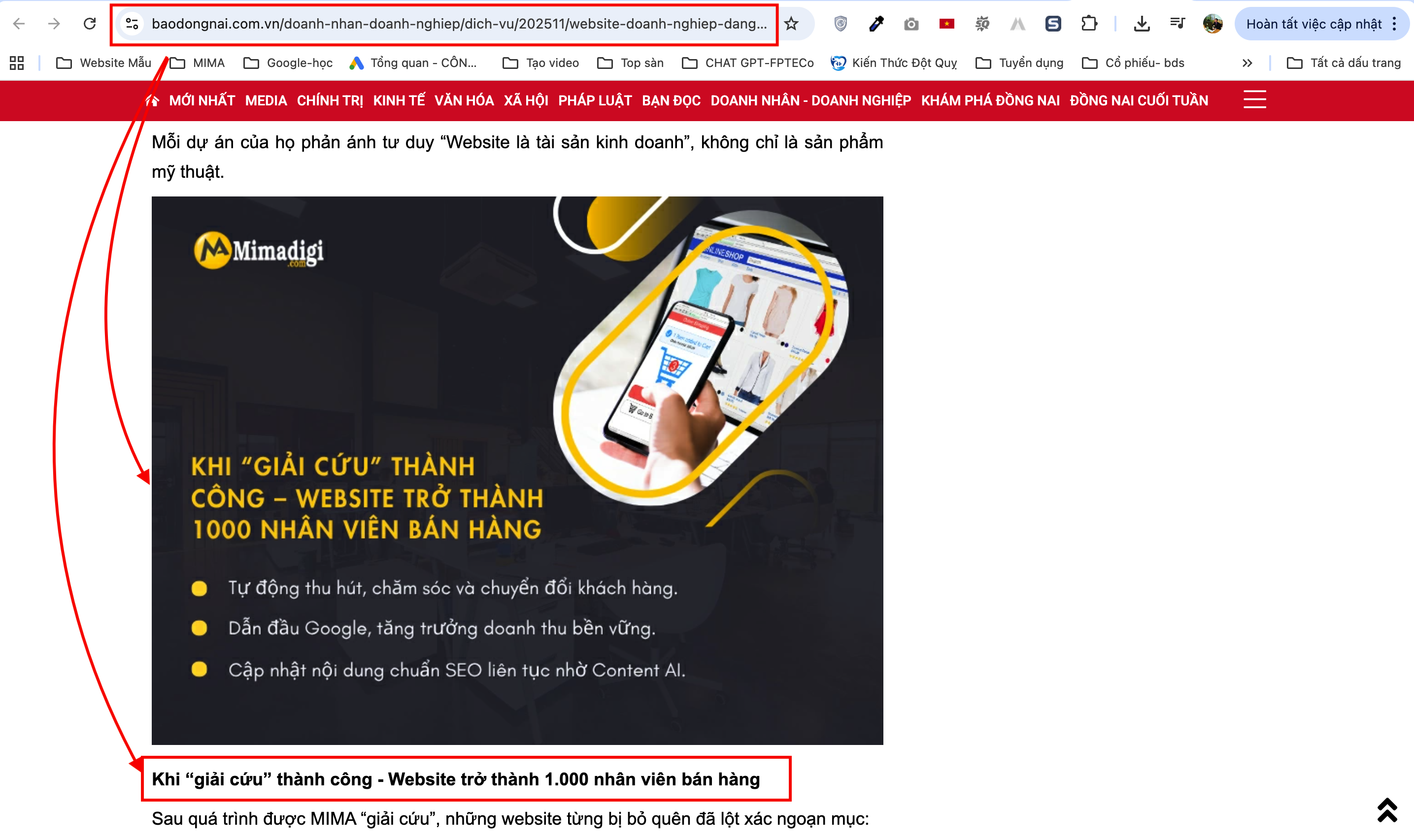 Website Design Dong Nai