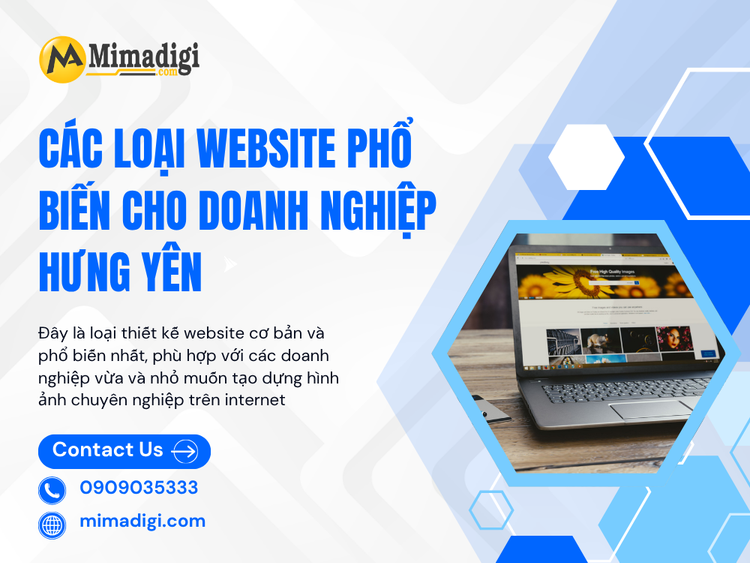 Popular Website Types for Hưng Yên Businesses