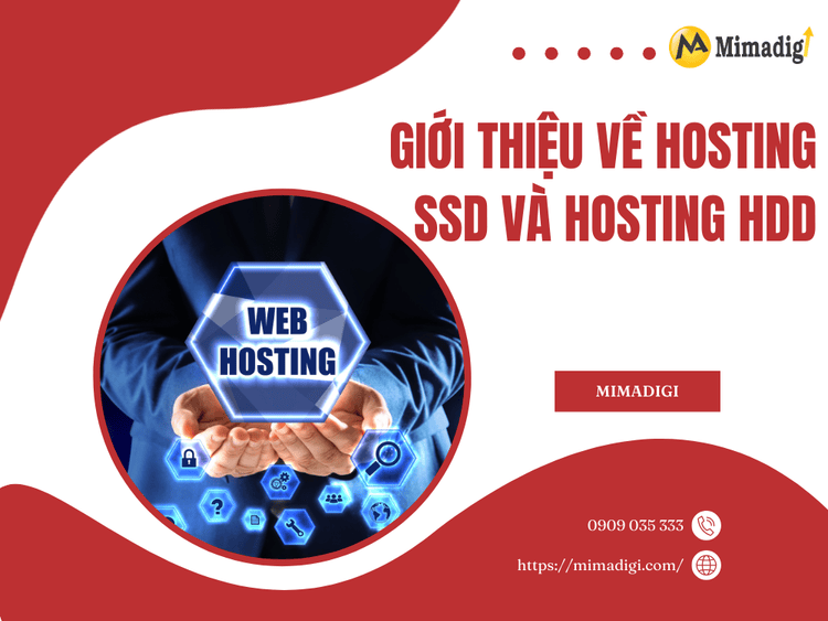 Introduction to SSD Hosting and HDD Hosting at MIMA