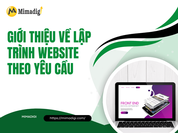 Giới thiệu về lập trình website theo yêu cầu tại MIMA