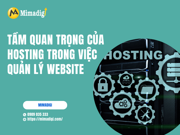 The importance of hosting in website management at MIMA