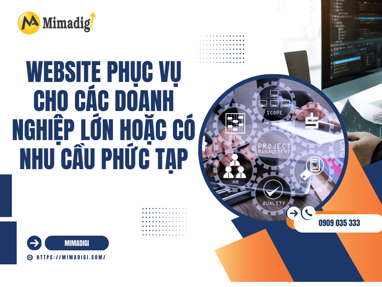 Website phục vụ cho các doanh nghiệp lớn hoặc có nhu cầu phức tạp tại MIMA