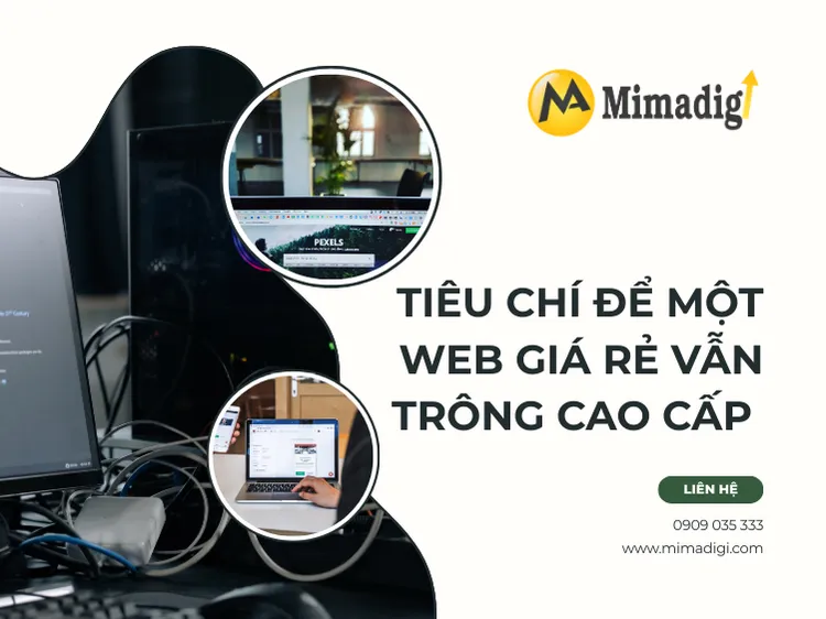 Criteria for an Affordable Website That Still Looks High-End at mima