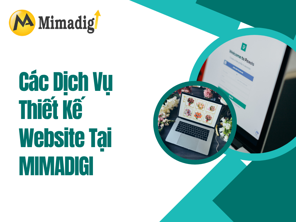 Các dịch vụ thiết kế website tại mima