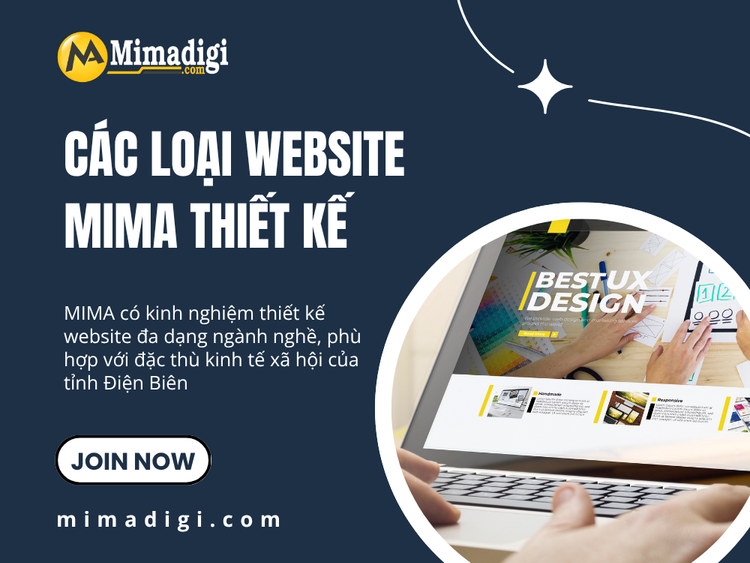 Types of Websites MIMA Designs for Dien Bien Businesses