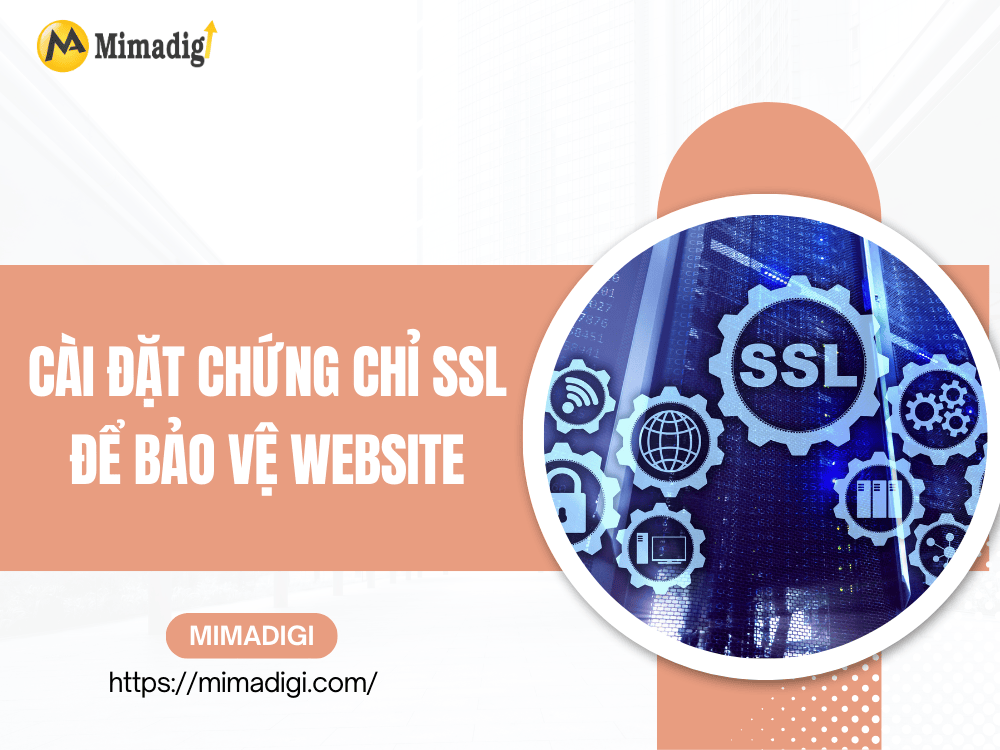 Install SSL Certificates to Protect the Website at MIMA