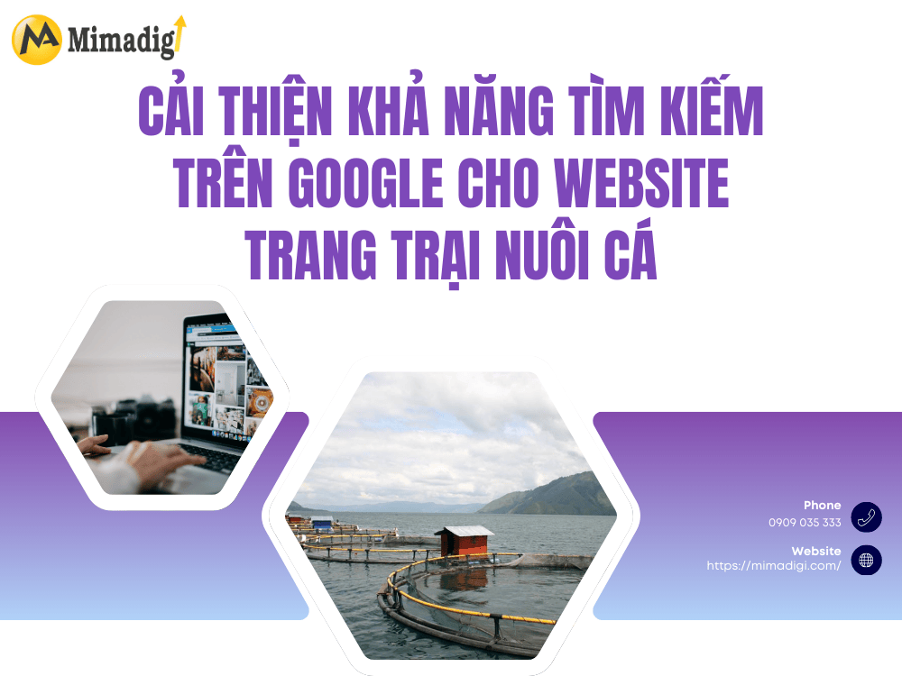 Cải thiện khả năng tìm kiếm trên Google cho website trang trại nuôi cá tại MIMA