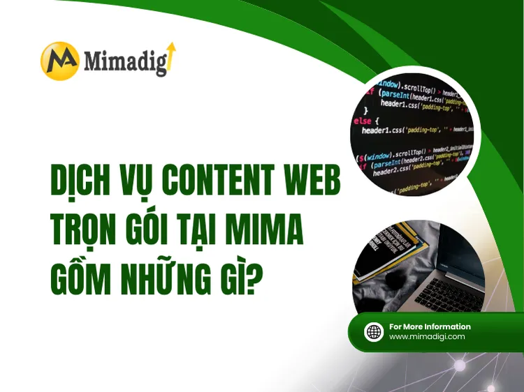 Dịch vụ content web trọn gói tại MIMA gồm những gì? tại mima