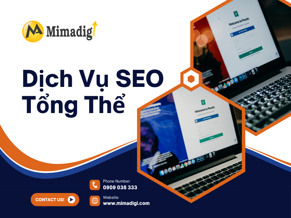 Dịch Vụ SEO Tổng Thể tại mima