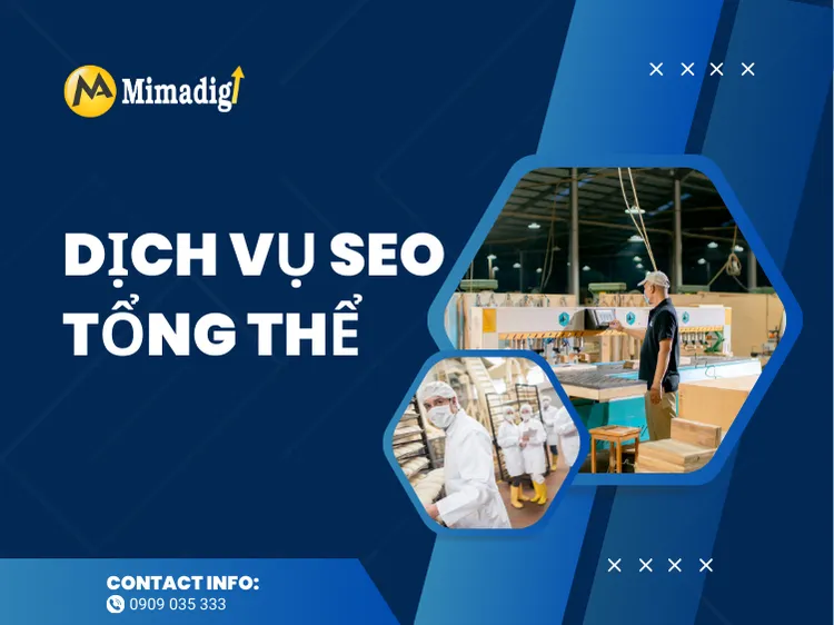 Dịch Vụ SEO Tổng Thể – Đưa Doanh Nghiệp Lên Top Google Bền Vững tại mima