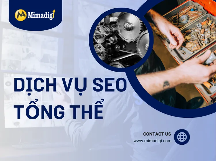 Dịch Vụ SEO Tổng Thể – Đưa Doanh Nghiệp Lên Top Google Bền Vững tại mima