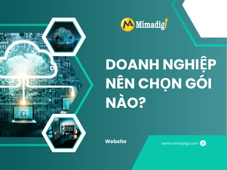 Doanh nghiệp nên chọn gói nào? tại mima