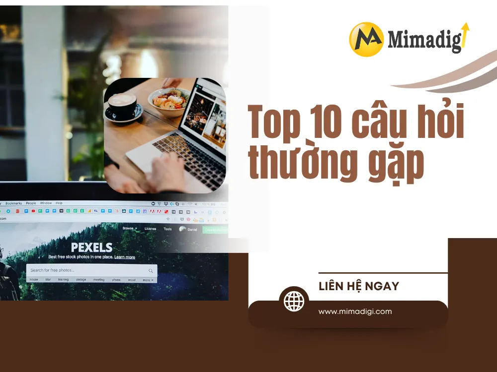 Giới Thiệu về Dịch Vụ Thiết Kế Website tại Đặc khu Côn Đảo tại mima
