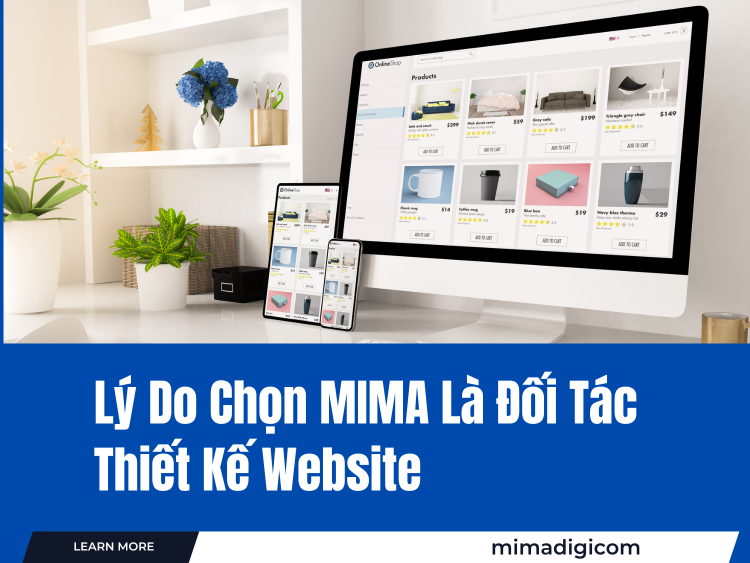 Why Choose MIMA as Your Dien Bien Website Design Partner?