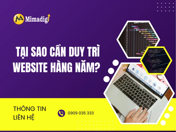 Tại sao cần duy trì website hàng năm? tại mima