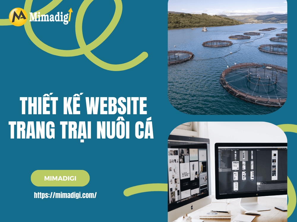 Tại sao trang trại nuôi cá cần một website chuyên nghiệp? tại MIMA