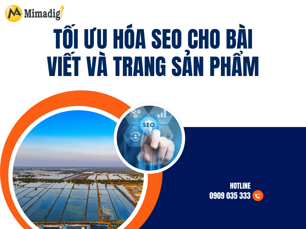 Tối ưu hóa SEO cho bài viết và trang sản phẩm tại MIMA