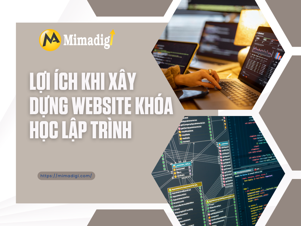 Designing a Programming Course Website at mimadigi