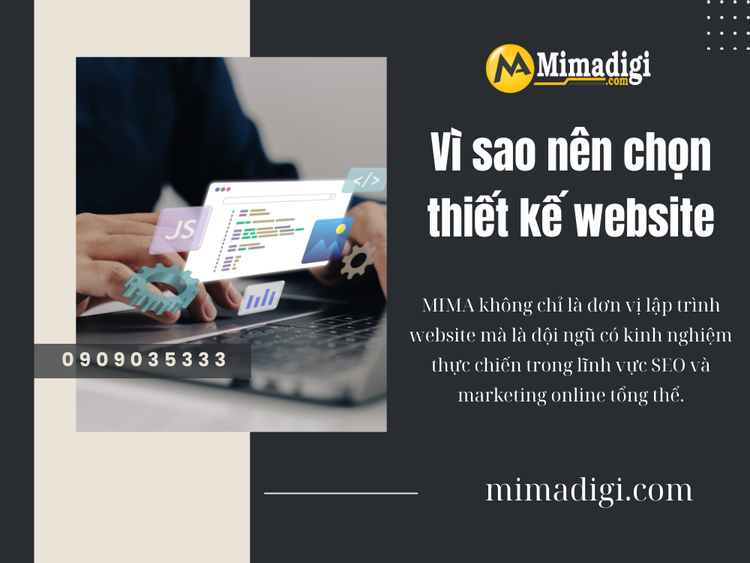 Why Choose Website Design at MIMA?