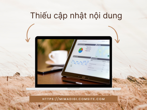 nội dung chuẩn SEO tại mimadigi