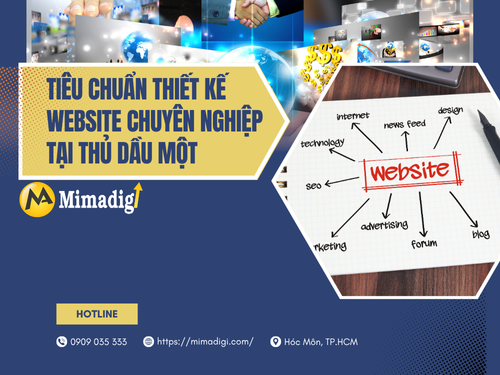 Website Design in Thu Dau Mot Binh Duong by mimadigi