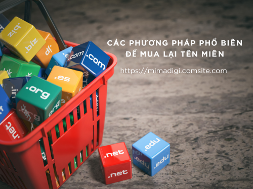 How to Buy a Premium Domain Name That Is Already Owned with MIMADIGI