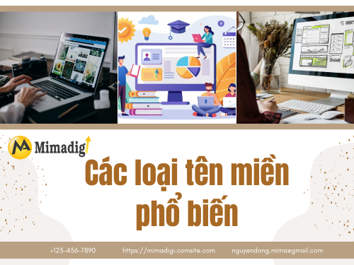 How to choose the right domain name for your business website with mimadigi