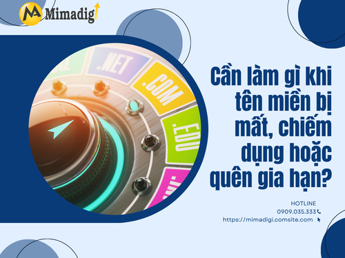 How to Manage Domain Names to Avoid Loss and Errors? with MIMADIGI