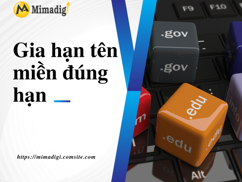 How to Manage Domain Names to Avoid Loss and Errors? with MIMADIGI