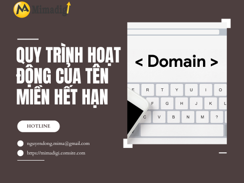 Tên miền hết hạn: Cách săn domain giá trị với chi phí rẻ TẠI MIMADIGI