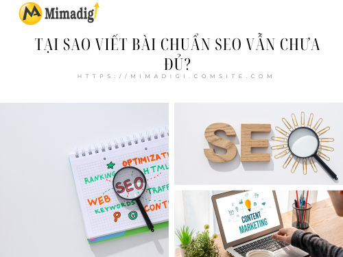 Why is writing SEO-standard articles not enough? let's find out with mimadigi