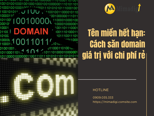 Tên miền hết hạn: Cách săn domain giá trị với chi phí rẻ TẠI MIMADIGI