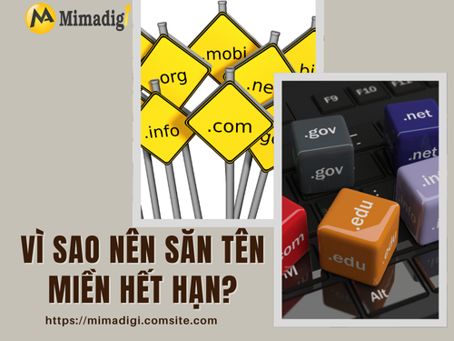 Tên miền hết hạn: Cách săn domain giá trị với chi phí rẻ TẠI MIMADIGI