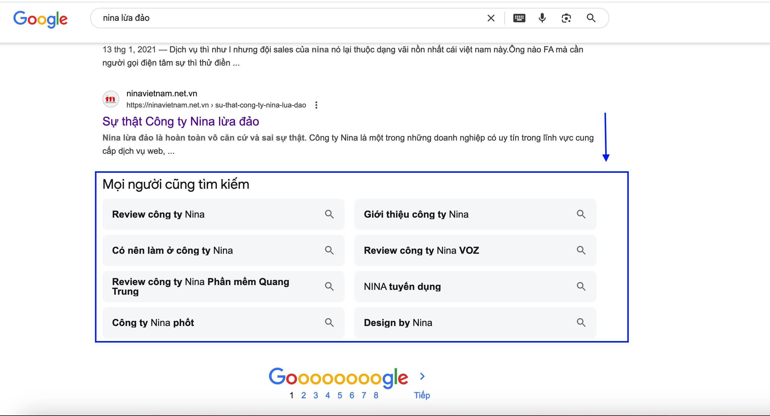 NINA Scam? A Multi-Dimensional Perspective on NINA Web Design Company with MIMADIGI