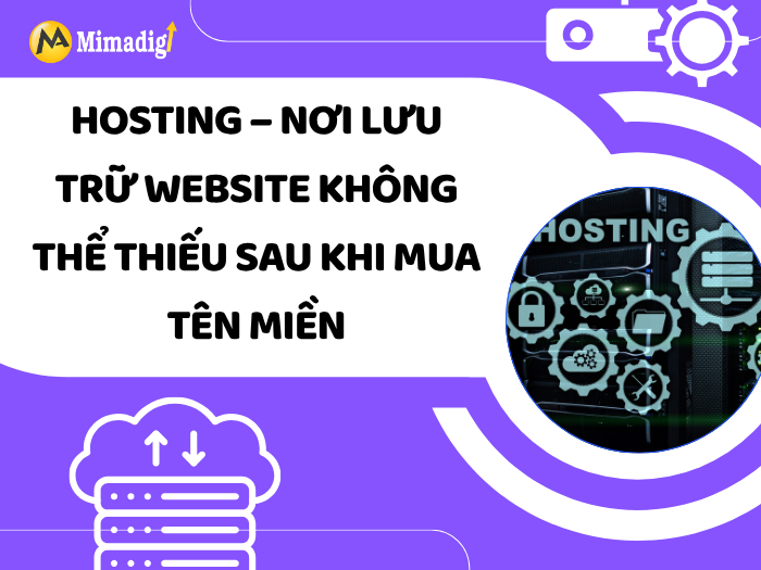 Hosting – An Indispensable Website Storage Place After Buying a Domain Name by MIMADIGI