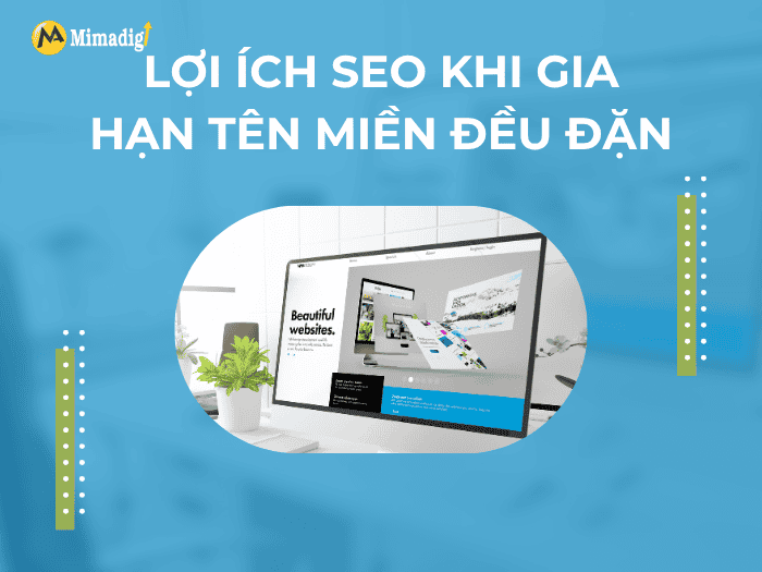 SEO Benefits of Renewing A Domain Regularly by MIMADIGI