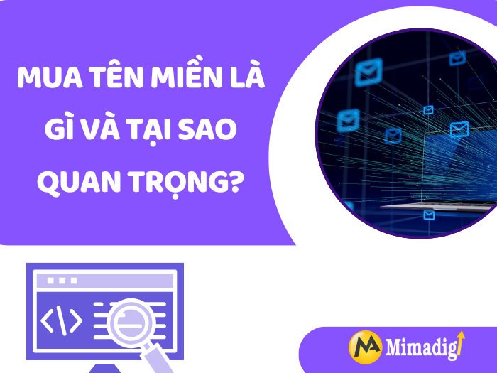 What is a Domain Name and Why is it Important? by MIMADIGI