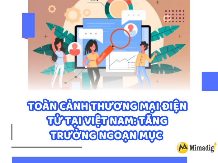 Overview of E-commerce in Vietnam: Remarkable Growth by MIMADIGI