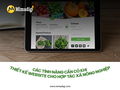 Agricultural Cooperative Website Design with MIMADIGI