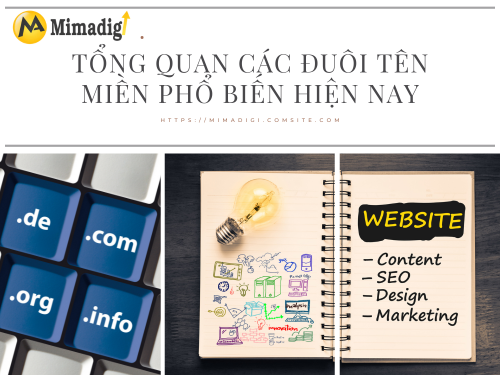 Popular Domain Names: .com, .vn, .net, .org and How to Choose the Right One with MIMADIGI