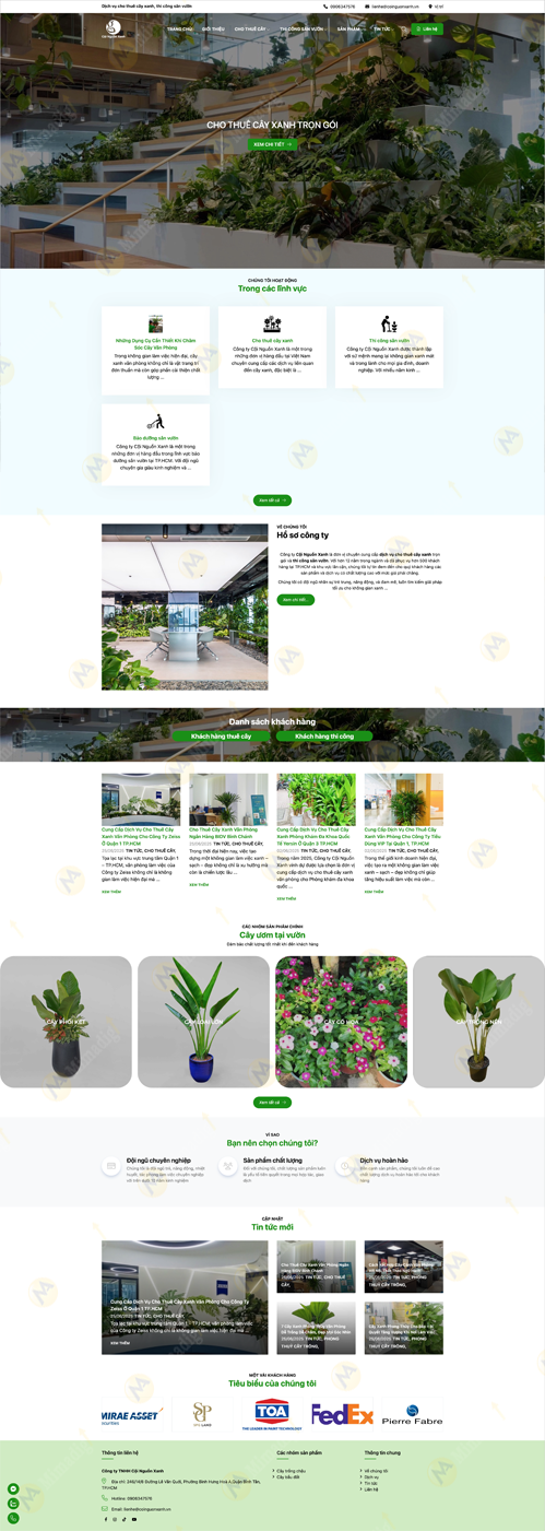 Cội Nguồn Xanh – Vì tương lai bền vững của hành tinh xanh tại mimadigi